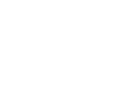 Digiverse%20Technologies